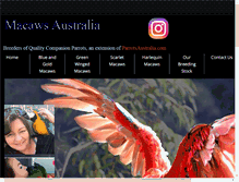 Tablet Screenshot of macawsaustralia.com